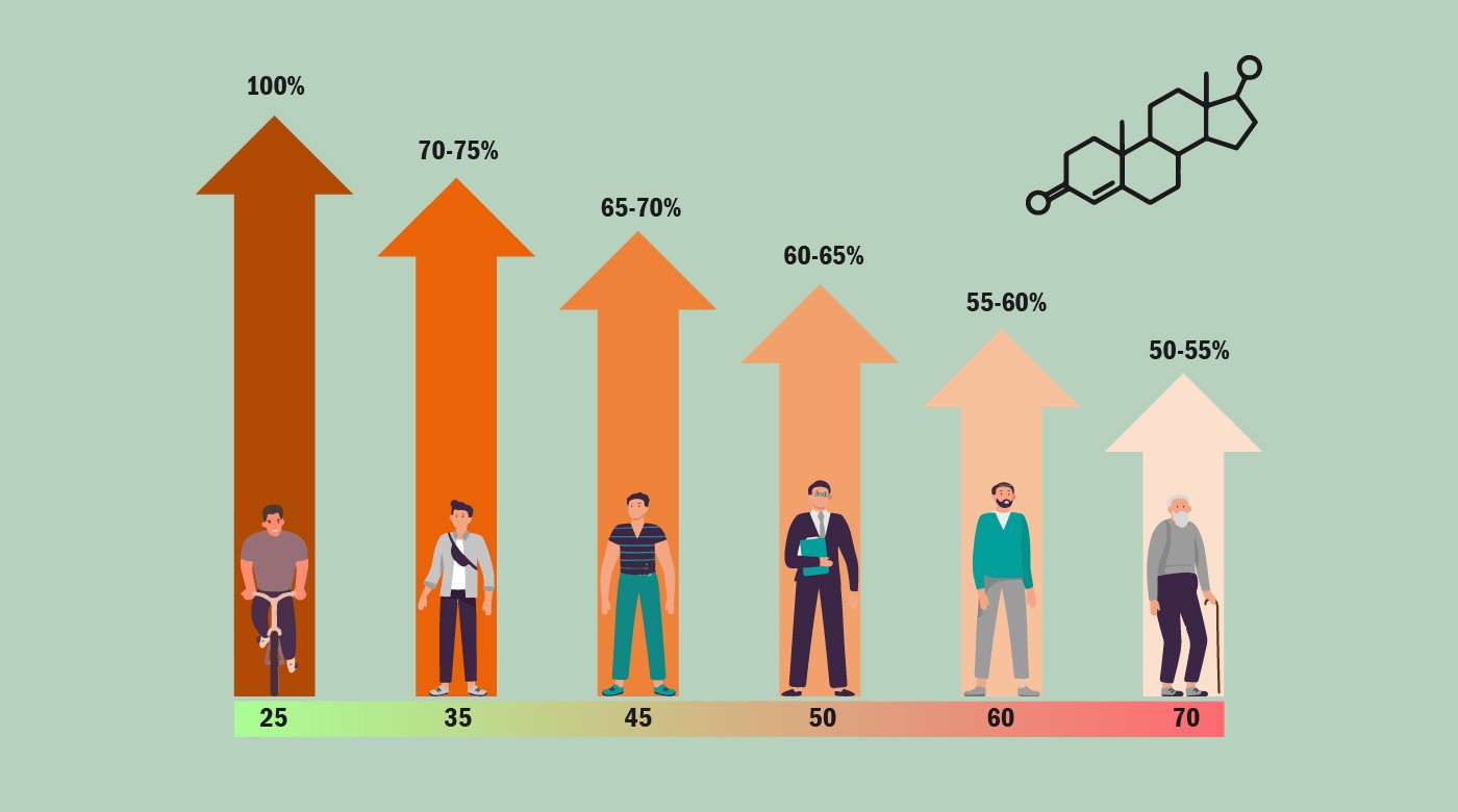 Testosterone levels by age chart: Hormonal Changes.