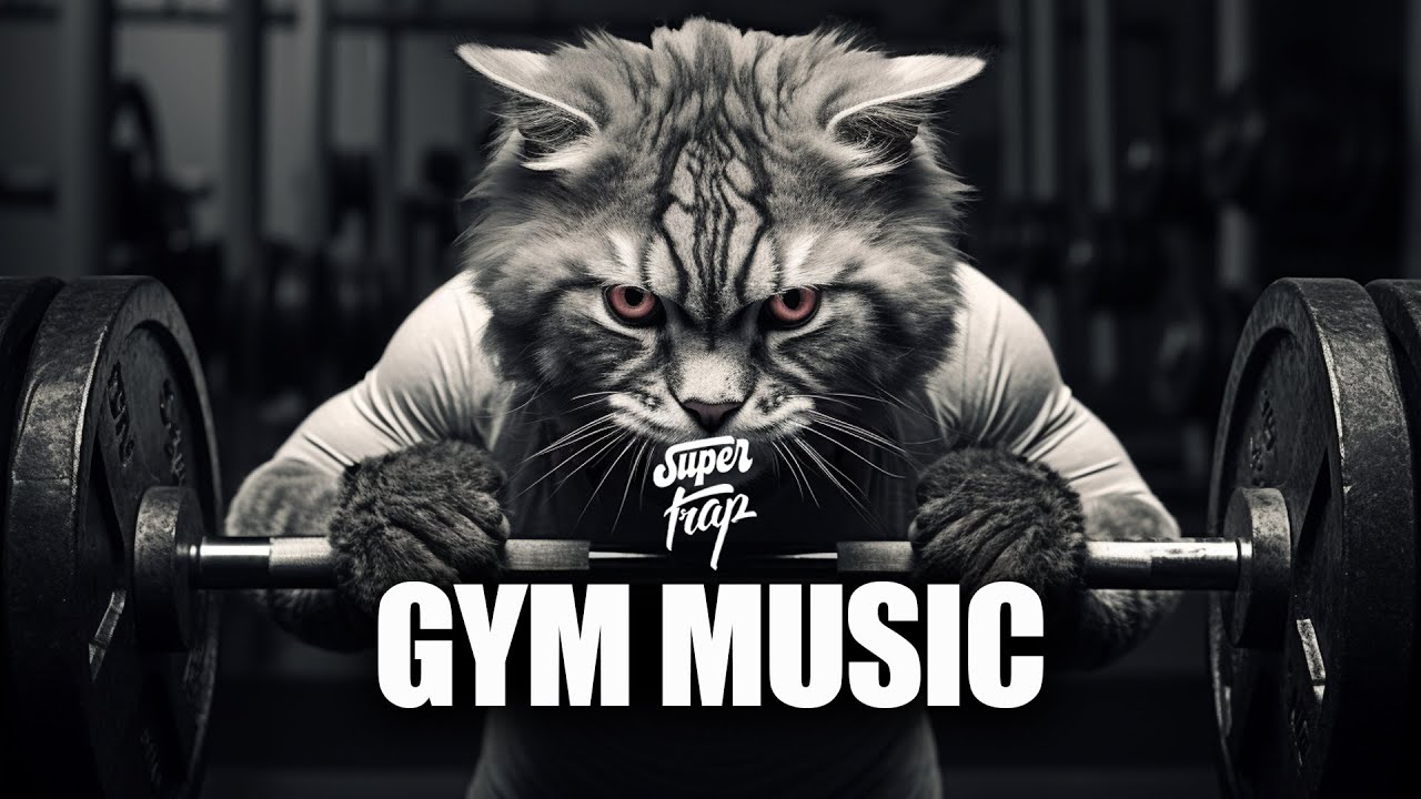 Workout Music 2024 💪 Fitness & Gym Motivation Mix 💪 Best Workout Songs & Training Music