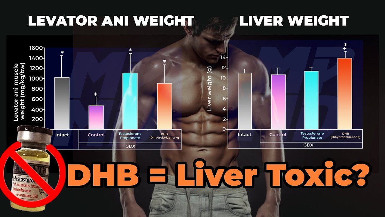 Unlocking the Potential of DHB: New Best Steroid!