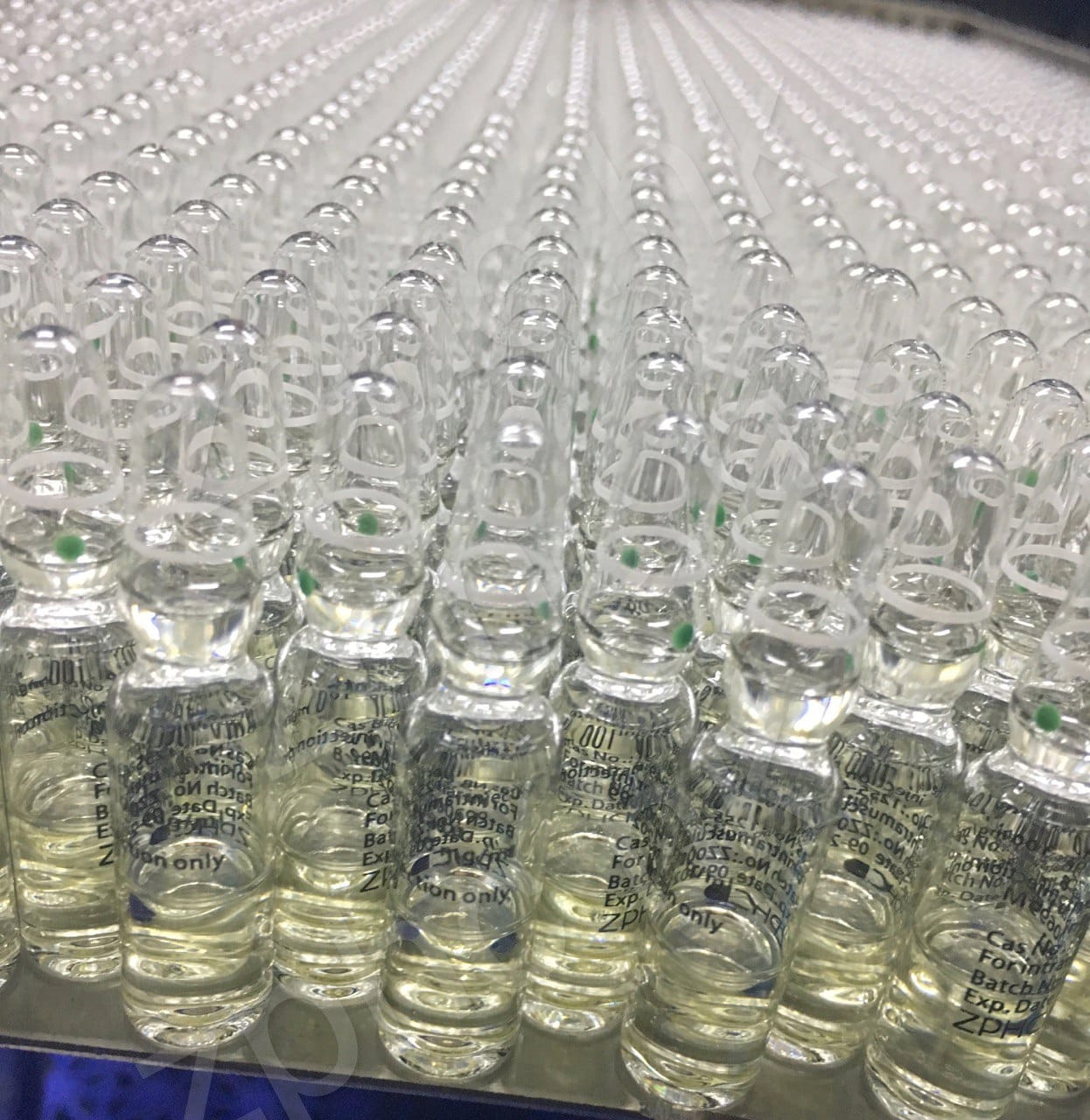 ZPHCStore.com: A Comprehensive Customer Review