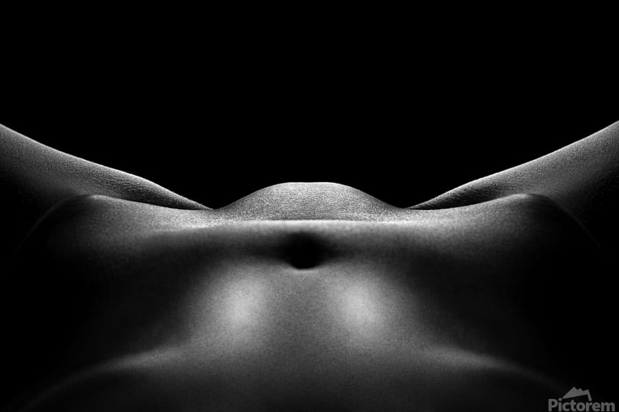 How BodyVisualizer.com is Revolutionizing Personal Insights 🙄